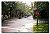 Une rue de Montr�al