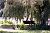 Jardin botanique